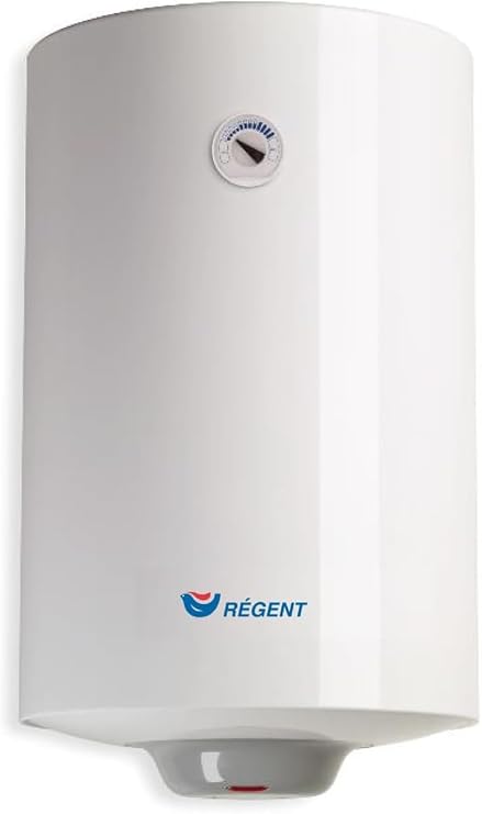Regent: termo eléctrico vertical de 80 litros